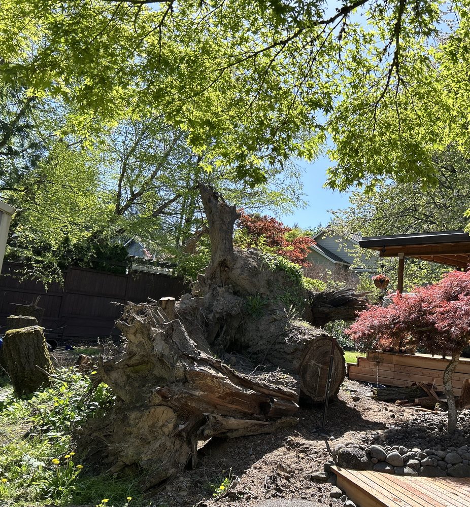 Chip Away Stump Grinding - tree service in Portland, OR