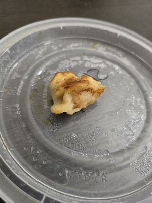 Huang Cheng Potsticker by null
