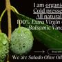 Photo of Salado Olive Oil Co.