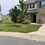 Supreme Landscaping
