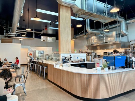 Spinnaker Chocolate by null