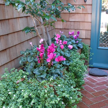 GardenTender - Landscaping Near Me GardenTender - Landscaping Near Me