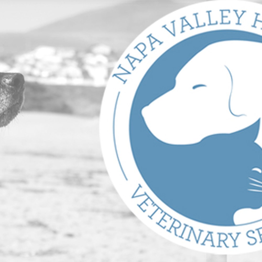 TOP 10 BEST Veterinary Clinic in Napa, CA - Updated 2026 - Yelp