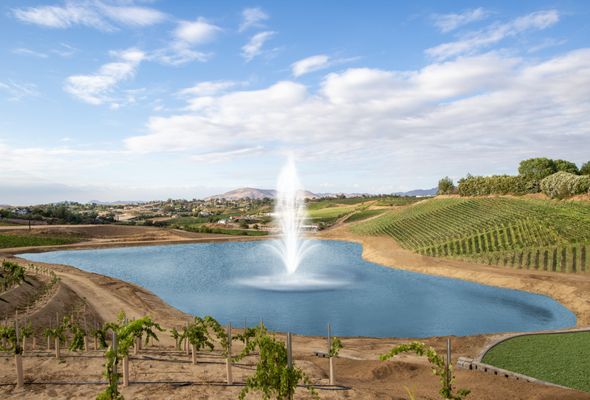 Mount Palomar Winery by null
