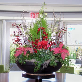 The Plant Escape - Indoor Landscaping Near Me The Plant Escape - Indoor Landscaping Near Me