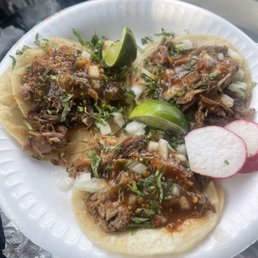 Carnitas Tacos