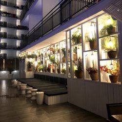 Delamar - Pool area at night.