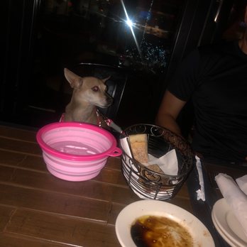 Olazzo - Puppies get to enjoy too! - Italian Near Me - Bethesda, Maryland Olazzo - Puppies get to enjoy too! - Italian Near Me - Bethesda, Maryland