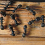 Photo of AAA Pest Control