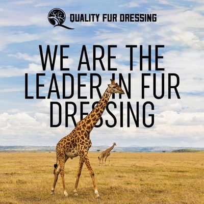 Quality Fur Dressing