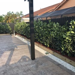 Men In Green - Custom borders and privacy hedges. Clusias