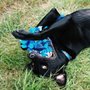 Photo of AHA Dog Training