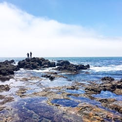 Abalone Cove - Tide pools.