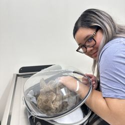 VCA Adler Animal Hospital and Pet Resort