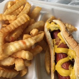 a hot dog and french fries a hot dog and french fries