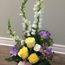 Blooms - Photo