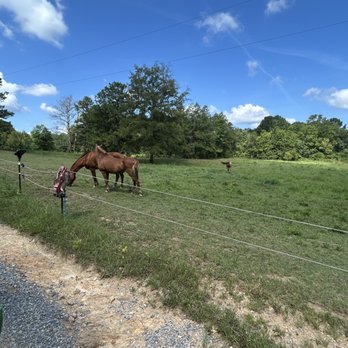 Stables at Cherry Blossom - Large lush pastures - Horse Boarding Near Me Stables at Cherry Blossom - Large lush pastures - Horse Boarding Near Me
