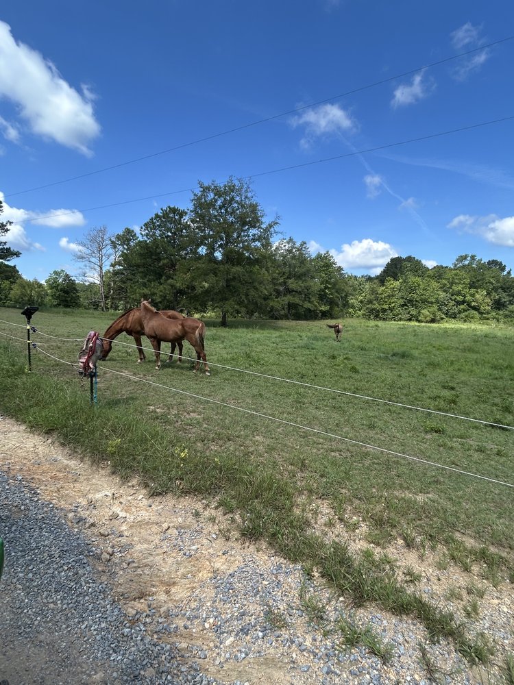 Stables at Cherry Blossom - equestrian in Harpersville, AL