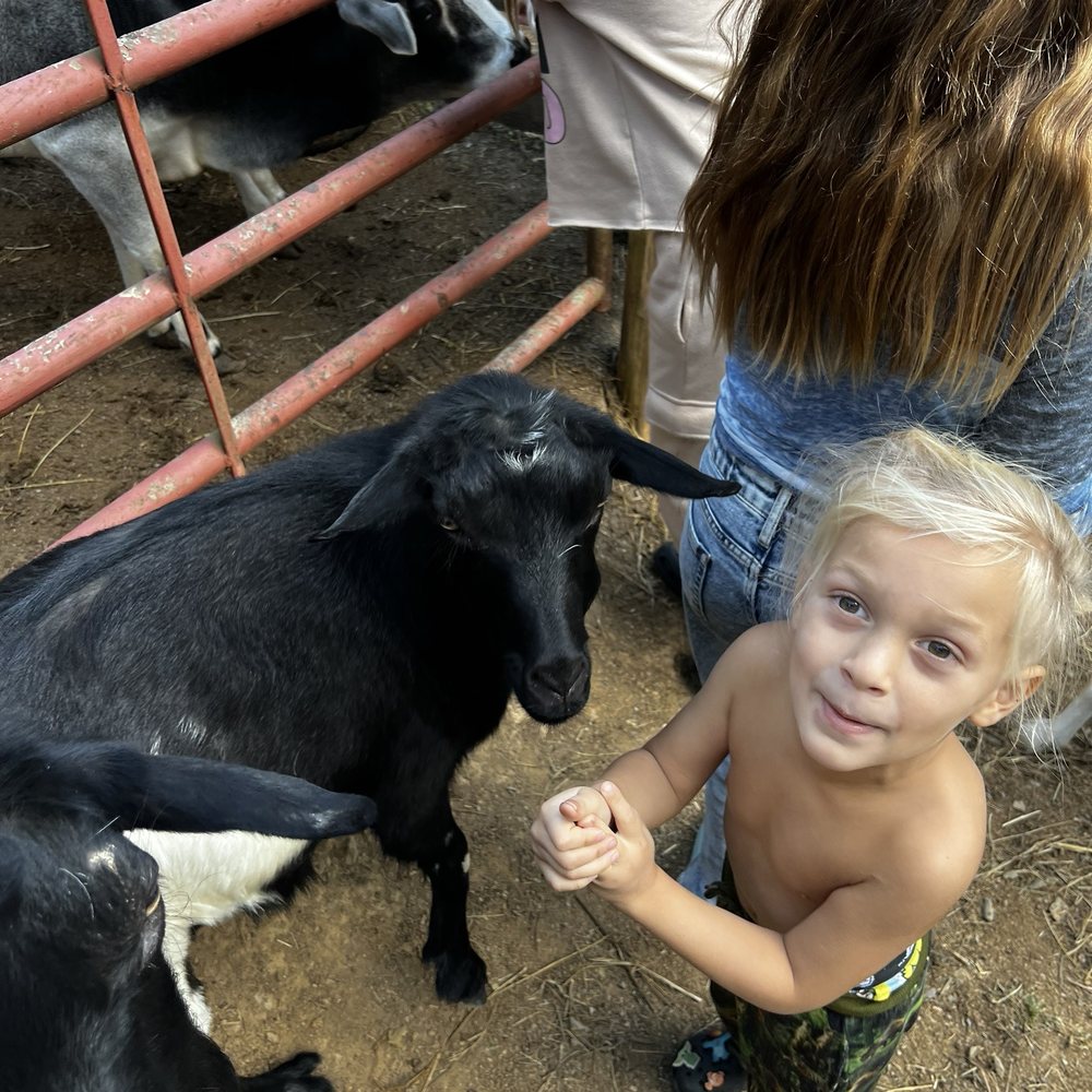 Twin Valley Horse Ranch - Fainting goats! - Horseback Riding Near Me - Walland, Tennessee Twin Valley Horse Ranch - Fainting goats! - Horseback Riding Near Me - Walland, Tennessee
