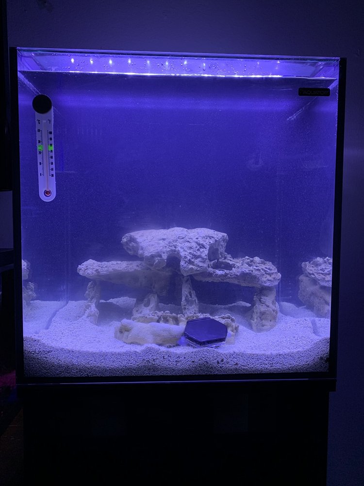 KISSENA AQUARIUM 11 Photos & 20 Reviews 4630 Kissena Blvd, Flushing