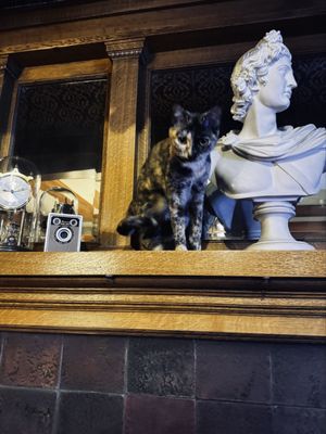 Ember Hostel by null