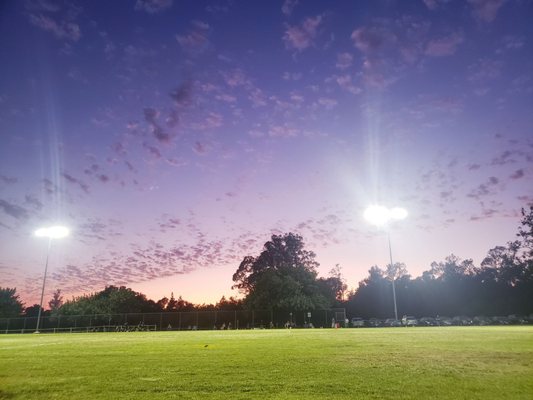 Arroyo Park by null