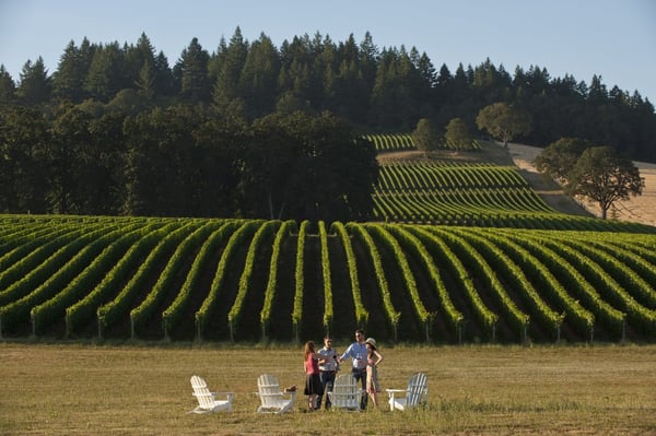 Stoller Family Estate by null