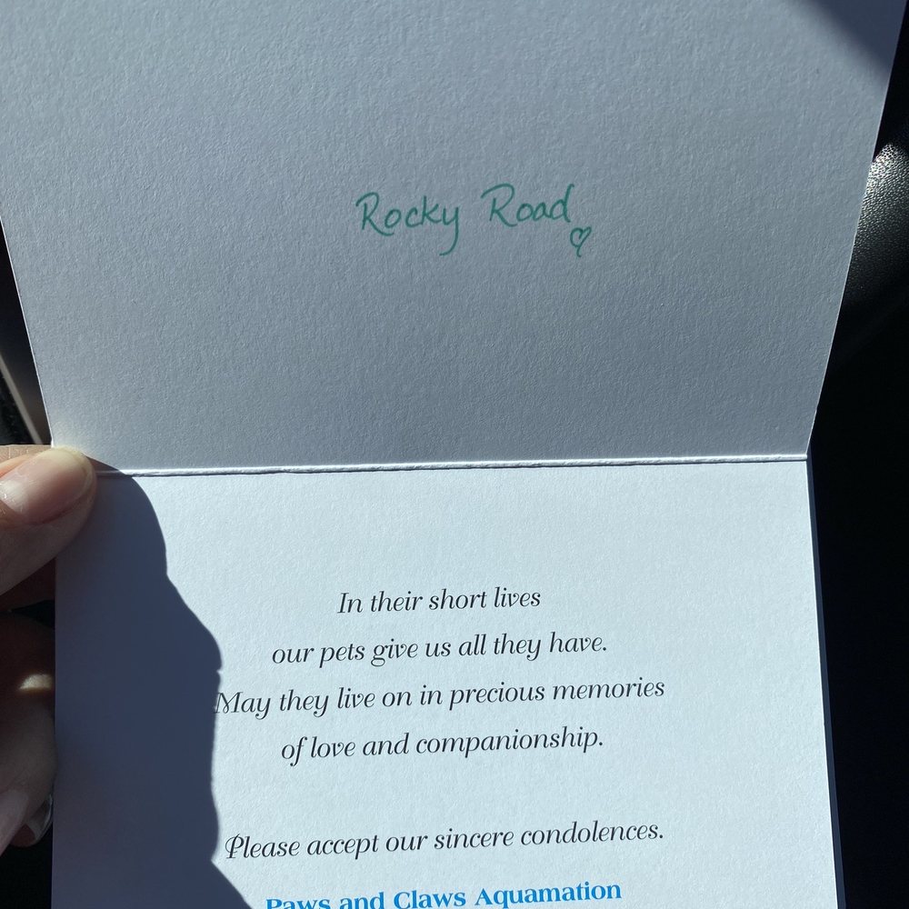Paws and Claws Aquamation and Memorials - My condolences card - Pet Cremation Services Near Me - Orange, California Paws and Claws Aquamation and Memorials - My condolences card - Pet Cremation Services Near Me - Orange, California