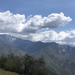 Big Trees Trail