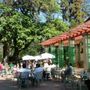 Photo of Café Concerto