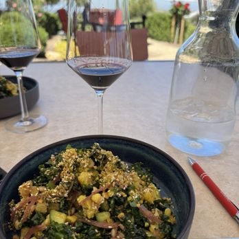 DAOU Vineyards - Wineries Near Me - Paso Robles, California DAOU Vineyards - Wineries Near Me - Paso Robles, California