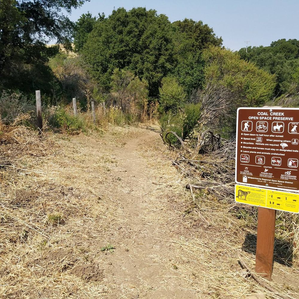 Coal Creek Open Space Preserve - Trail head to the left of the Vista Point parking lot - Parks Near Me - San Mateo, California Coal Creek Open Space Preserve - Trail head to the left of the Vista Point parking lot - Parks Near Me - San Mateo, California