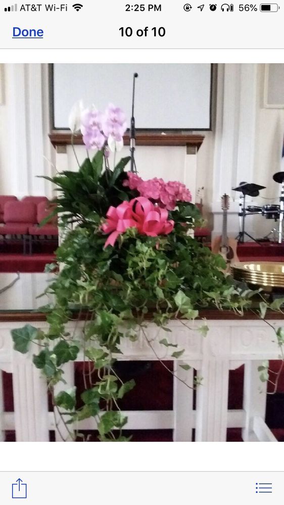 THE FLOWER BASKET 31 Photos 28 NW Broad St, Metter, GA Yelp