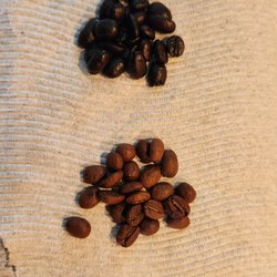Cook's Corner - Guess which are the sad, dry, very expensive Jamaican Blue Mountain that we the customer got yelled at when we complained about??
