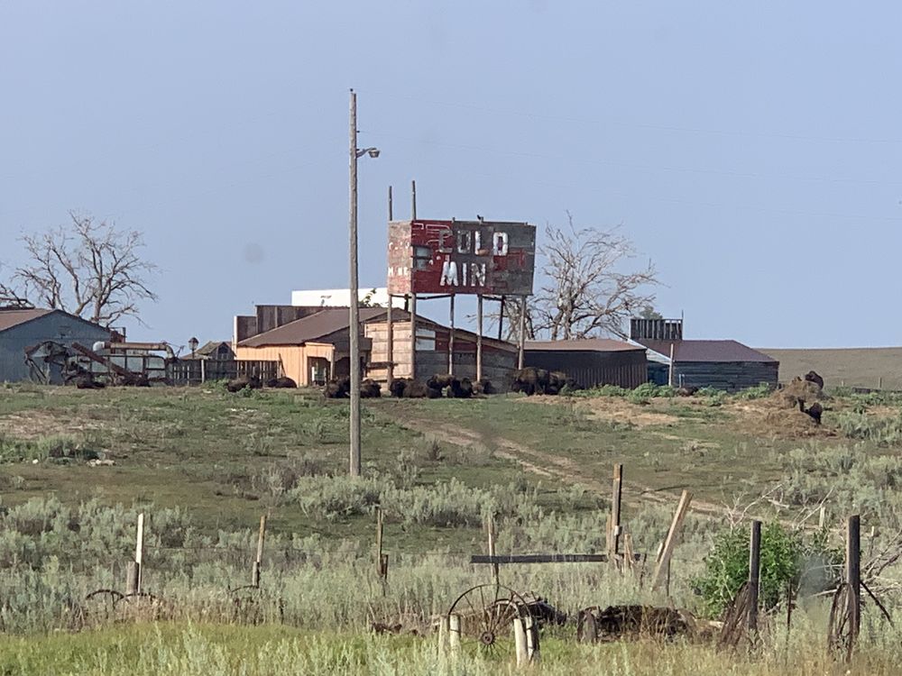 BUFFALO RIDGE COUNTRY STORE Updated September 2024 15 Photos & 10