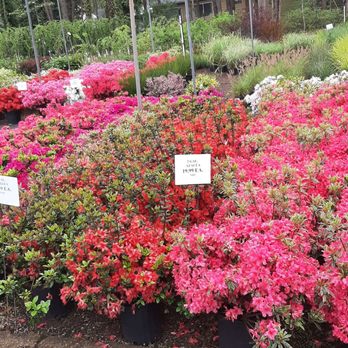 Country Gardens - Nurseries & Gardening Near Me - Whiting, New Jersey Country Gardens - Nurseries & Gardening Near Me - Whiting, New Jersey