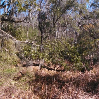 Daniel Island Trails - Hiking Near Me - Charleston, South Carolina