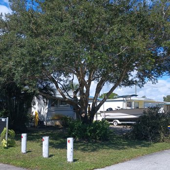 Angel Tree Service and Landscaping - Thinned out branches - Tree Services Near Me Angel Tree Service and Landscaping - Thinned out branches - Tree Services Near Me