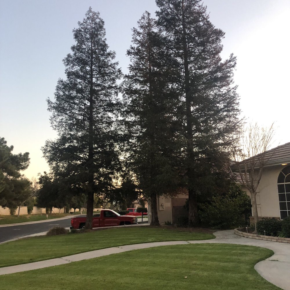 Art's Tree Service - Tree Services Near Me