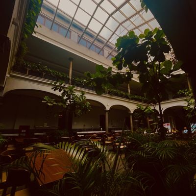 Gamma Orizaba Grand Hotel de France by null