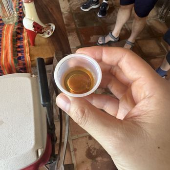 Canopy River Park - Tequila tasting - Hiking Near Me - Zona Hotelera Norte, JAL