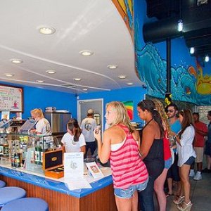 Why can't I stop eating frozen yogurt?