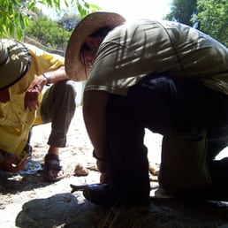 using the Bowdrill at Primitive Fire Course using the Bowdrill at Primitive Fire Course