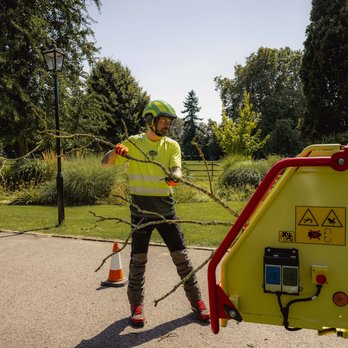 Bartlett Tree Experts - St Albans - Tree Services Near Me - St Albans, HRT