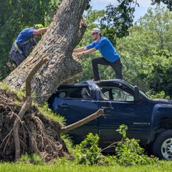 Terry's Tree Service - Emergency Job