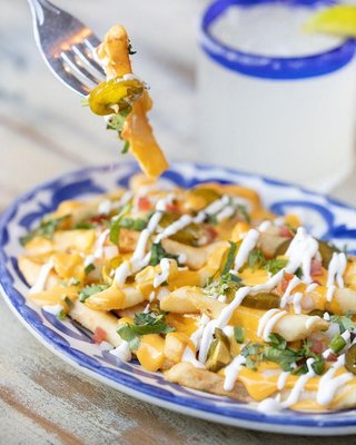 Tacology Brickell - Mexican Taqueria by null