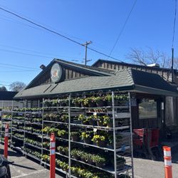 Doylestown Produce