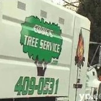Eddie's Tree Service - Tree Services Near Me - Columbus, Ohio Eddie's Tree Service - Tree Services Near Me - Columbus, Ohio