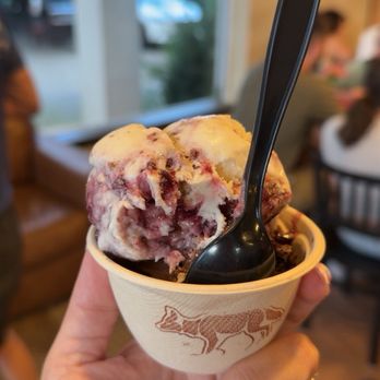 PINK COYOTE DESSERT - Updated December 2025 - 82 Photos & 43