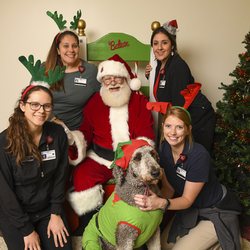 AdventHealth Sports Med & Rehab Winter Park Pediatrics - Santa Claus, Oreo the Elf, and our team of therapists had such a fun time hosting our patients and their families for Sensitive Santa 2018!